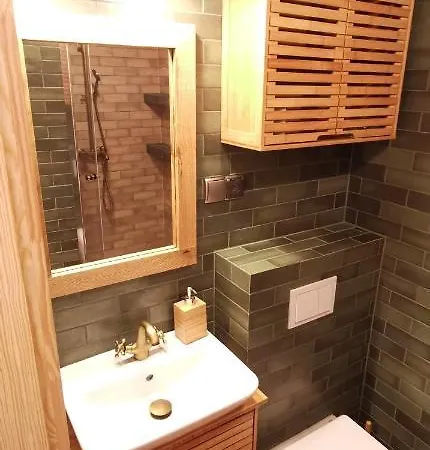 Apartament Natural - Centrum Miasta, Nowa Kamienica Apartment *
